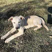 Thumbnail photo of Wyatt Grover #1