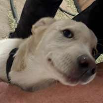 Thumbnail photo of Wyatt Grover #2