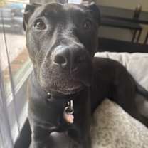 Thumbnail photo of Henny Henster #2