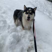 Thumbnail photo of Chett #4