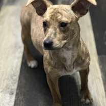 Thumbnail photo of Tres #2