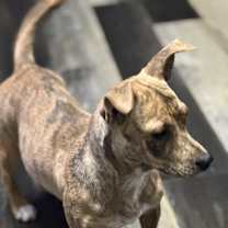 Thumbnail photo of Tres #3