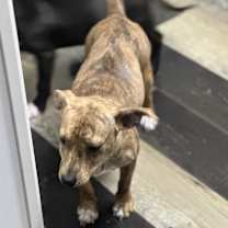 Thumbnail photo of Tres #4