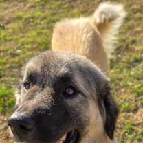 Thumbnail photo of Ray #2