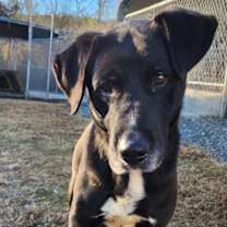 Thumbnail photo of Sebastian #1