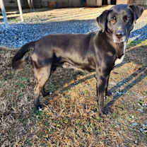 Thumbnail photo of Sebastian #2