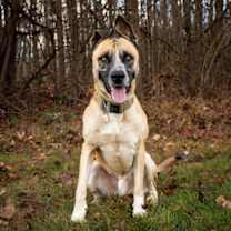 Thumbnail photo of REX #2