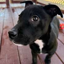 Thumbnail photo of Gooey Butter Cake 12-4-25 #2