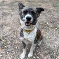 Thumbnail photo of Laura 12-6-25 #1