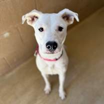 Thumbnail photo of Alina 6-14-25 #1