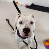 Thumbnail photo of G #3