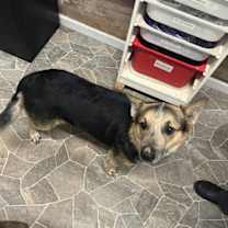 Thumbnail photo of VINCENT #2