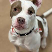 Thumbnail photo of Dimitri fka Slurpee #1