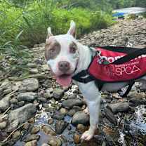 Thumbnail photo of Dimitri fka Slurpee #2