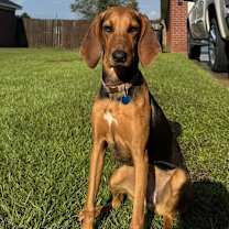 Thumbnail photo of Letty #1