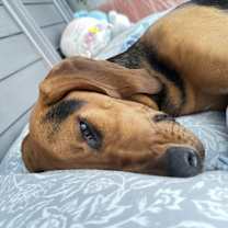 Thumbnail photo of Letty #2