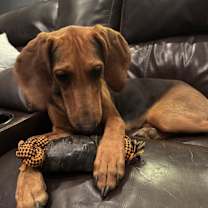 Thumbnail photo of Letty #3