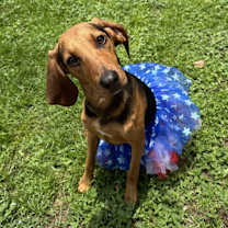 Thumbnail photo of Letty #4