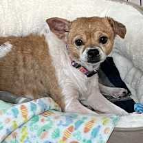 Thumbnail photo of Frida #2