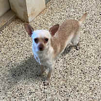 Thumbnail photo of Bear 2582 #1