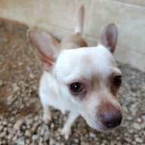 Thumbnail photo of Bear 2582 #2