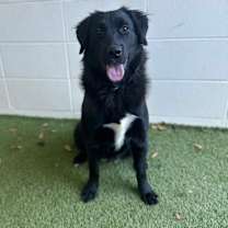 Thumbnail photo of Nyx 7466 #1