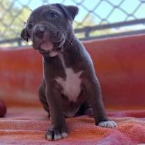 Thumbnail photo of CIEL 9612 #1