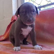 Thumbnail photo of CALIX 0666 #1