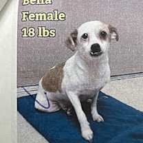 Thumbnail photo of BELLA 0018 #2