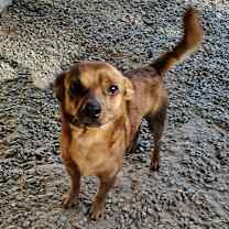 Thumbnail photo of CHICO 0883 #2