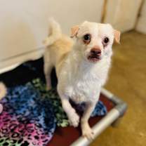 Thumbnail photo of Kenny #2