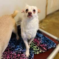 Thumbnail photo of Kenny #3