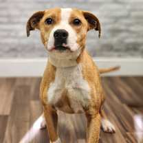 Thumbnail photo of Girly #1