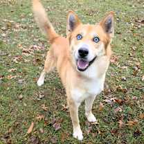 Thumbnail photo of Zion #1