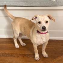 Thumbnail photo of Sunny #1