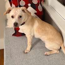 Thumbnail photo of Sunny #2