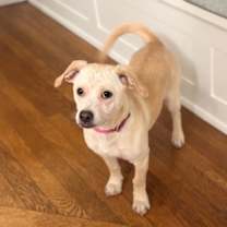 Thumbnail photo of Sunny #3