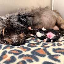 Thumbnail photo of Sweets #2