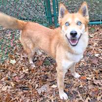 Thumbnail photo of Zion #4