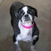 Thumbnail photo of Kenya (D25-54) #3