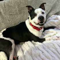 Thumbnail photo of Mary #3