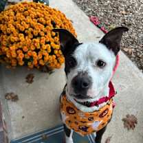 Thumbnail photo of Mary #4