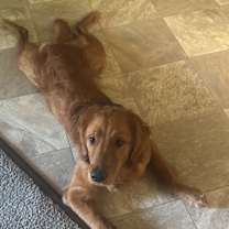 Thumbnail photo of Sage #4