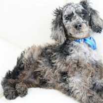 Thumbnail photo of Eugene #1