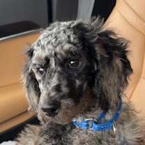 Thumbnail photo of Eugene #2