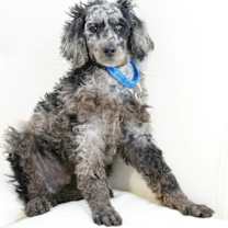 Thumbnail photo of Eugene #4