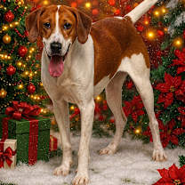 Thumbnail photo of Thelma/Louise #1