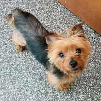 Thumbnail photo of Rita #1