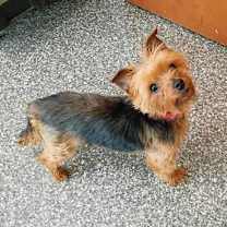 Thumbnail photo of Rita #2