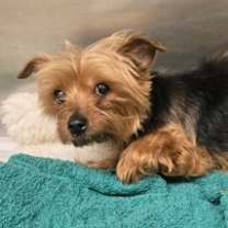 Thumbnail photo of Rita #3